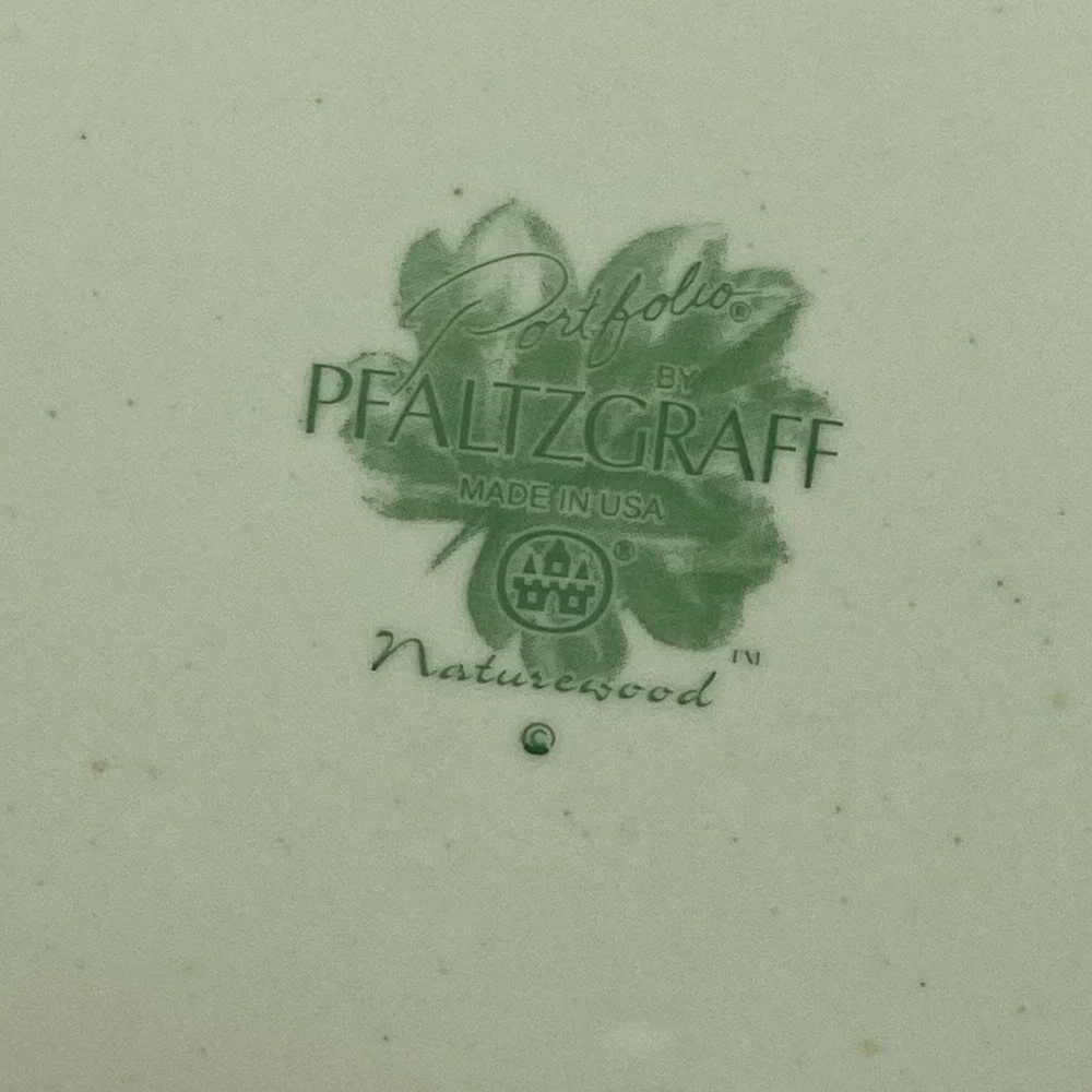 Portfolio Pfaltzgraff Naturewood Dinner Plates 11